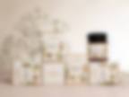 Brand Creation and Strategy Development for Manuka Honey Brand
